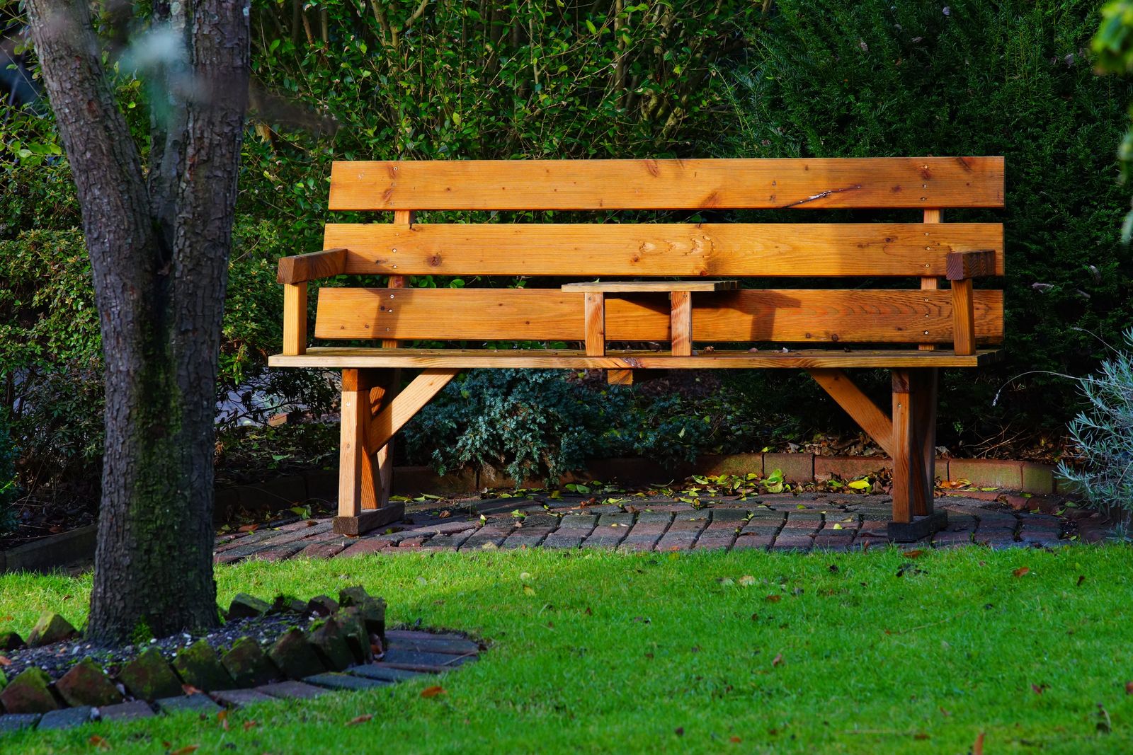 Banc en bois installé sous les arbres du jardin