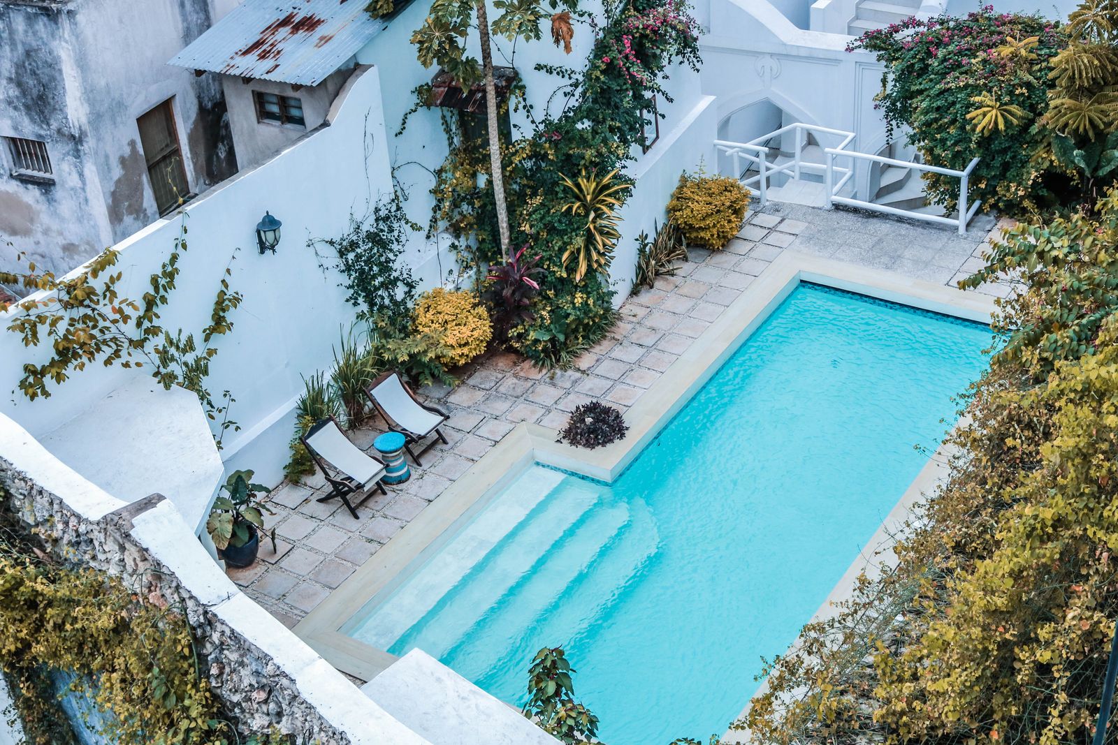 Piscine entourée d’une cour fleurie