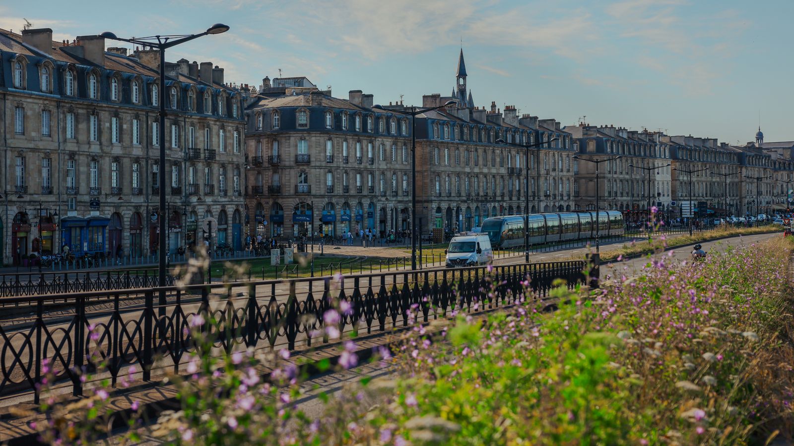 Façades en pierre blonde le long des quais de Bordeaux, tram et fleurs sauvages au premier plan